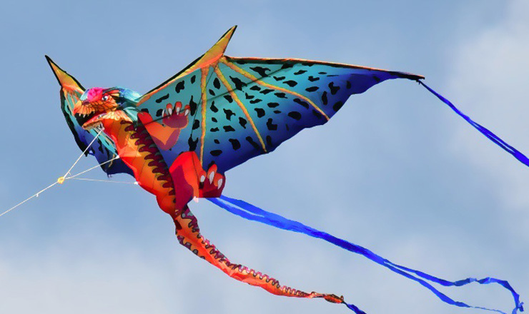 Náhled - Flying kites
